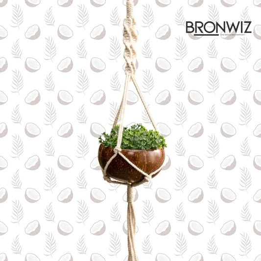 Coconut Shell Hanging Planter