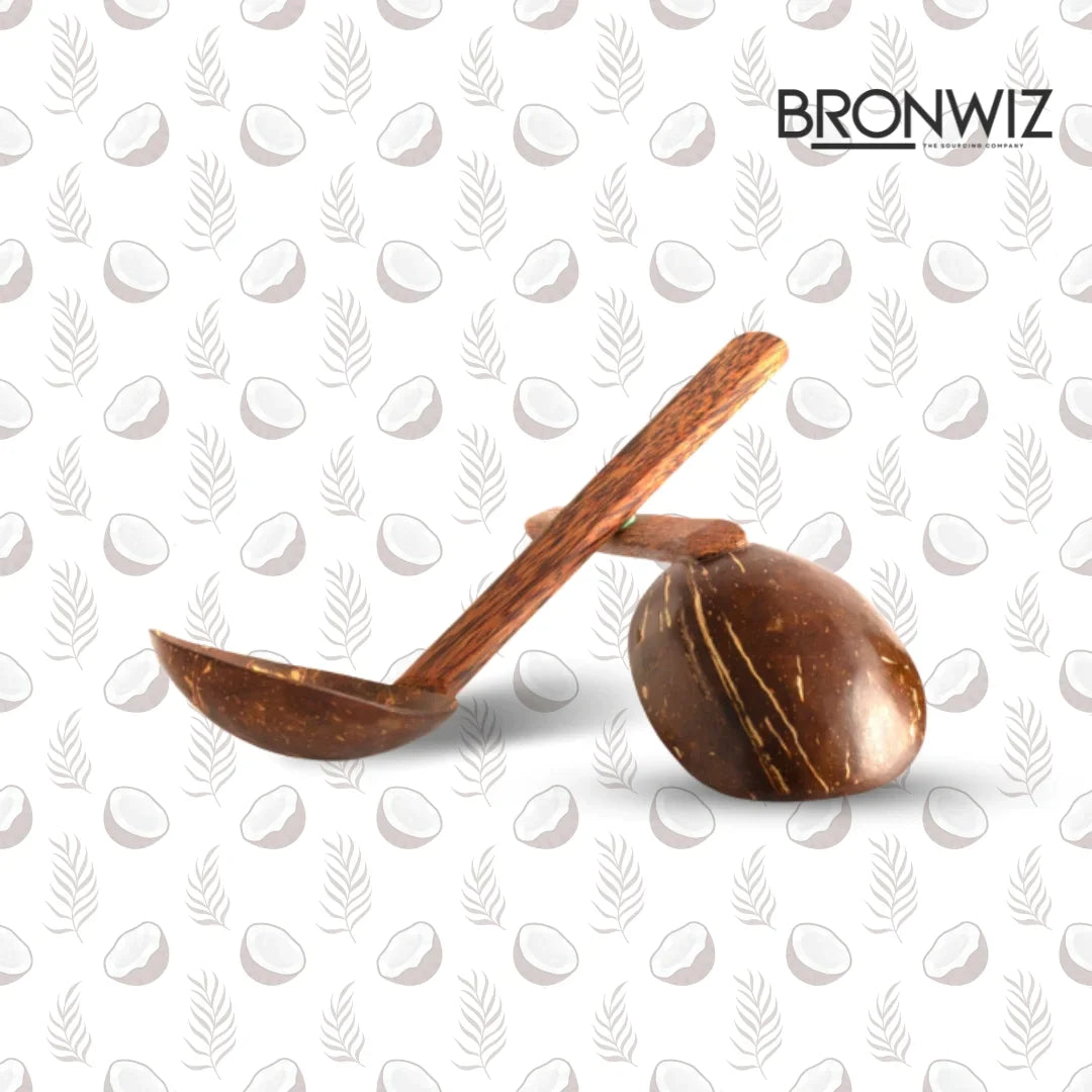 Coconut Shell Serving Spoon